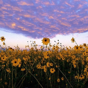 欧美成人vvvvvv影片
