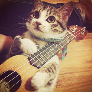 欧美成人vvvvvv影片
